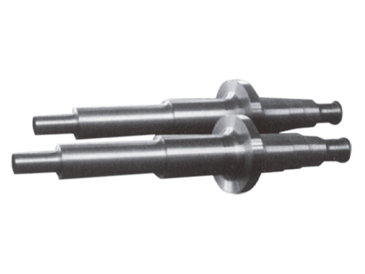 Fan rotor shaft (45 